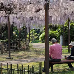 須賀乃園