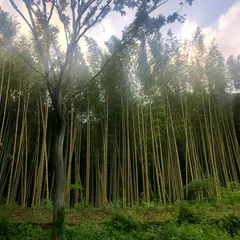 山ノ内東瓜ヶ谷緑地