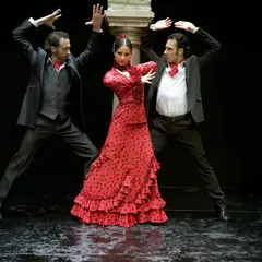 Museo del Baile Flamenco