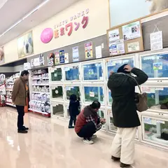 島忠ホームズ トウキョウワンク仙川店