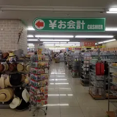 ダイソー コピオ北野店