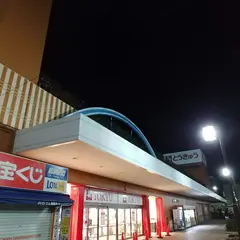ザ・ダイソー 高島平とうきゅう店