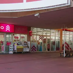 ダイソーコピオ楢原店