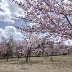 桜六花公園