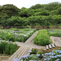 初立池公園