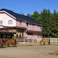 ひるがの高原木曽馬牧場