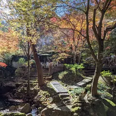 呂久沢の森 東の小径