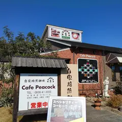 カフェ・ピーコック／ Cafe Peacock