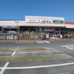 コーナン南芦屋浜店
