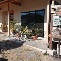 桜カフェ
