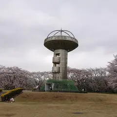 十王パノラマ公園