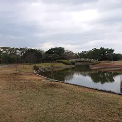 冒険の池（海の中道海浜公園）