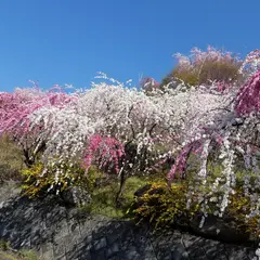 小夜戸山