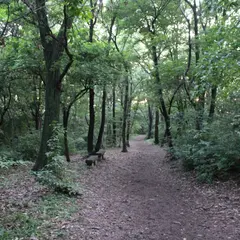 茶屋ケ坂公園