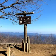 棒ノ折山(棒ノ嶺)