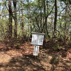 平井金山城跡公園