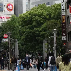池袋60階通