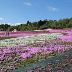 奥只見レクリェーション都市公園