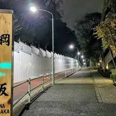 綱坂