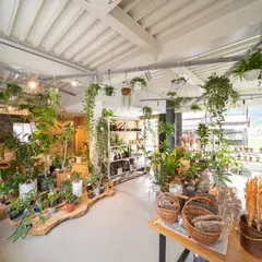 HAARU(ハアル)｜観葉植物と庭づくりのお店