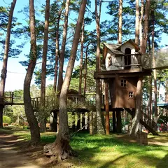 富士すばるランドドギーパーク
