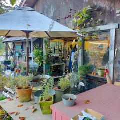 niwa cafe