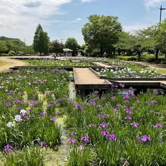 せせらぎ菖蒲園