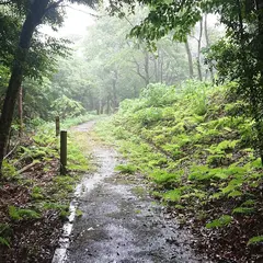 大国林道 ふれあい広場