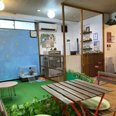 浅草ティーカッププードルカフェ/ASAKUSA TEACUP POODLE CAFE