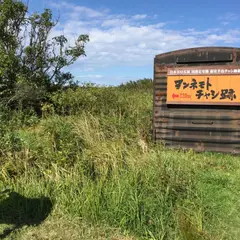 温根元チャシ跡 駐車場