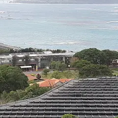 熱帯・亜熱帯都市緑化植物園