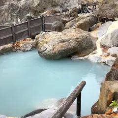 瑠璃の湯（姥湯温泉 桝形屋）