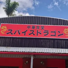 スパイスドラゴン