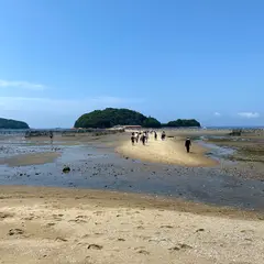東幡豆海岸