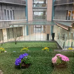 毎日インテシオ