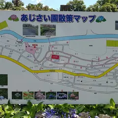 こうはら あじさい園
