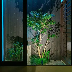 よろず葉