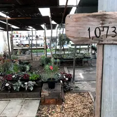 green room 八ヶ岳ナーセリーショップ