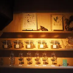 restaurant Synager（シナジェ）