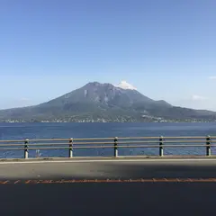 桜島展望台