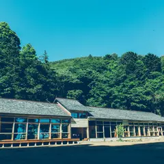モリウミアス