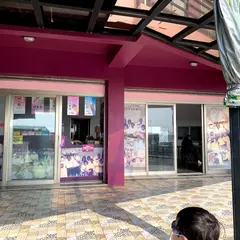 易家仙人掌氷