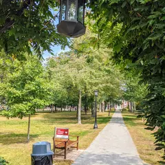 ベイツ大学