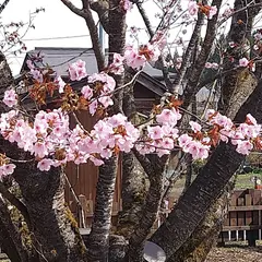 極楽寺