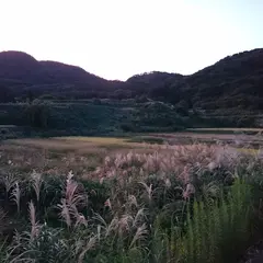 片野尾棚田
