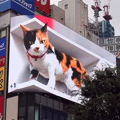 新宿東口の猫