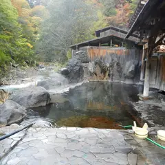 川俣温泉 川俣一柳閣