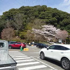 秋月観光 駐車場