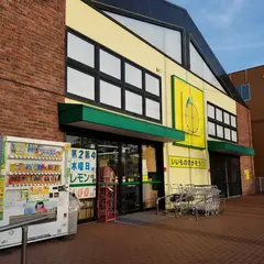 100えんハウスレモン市原店
