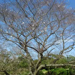 美術の森公園